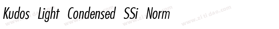 Kudos Light Condensed SSi Normal字体转换